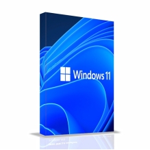 Win 11 Home 64Bit Eng Intl 1pk DSP OEI DVD| KW9-00632